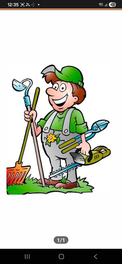 Goedkoopste tuinman, Vacatures, 33 - 40 uur, Overige niveaus, Overige vormen