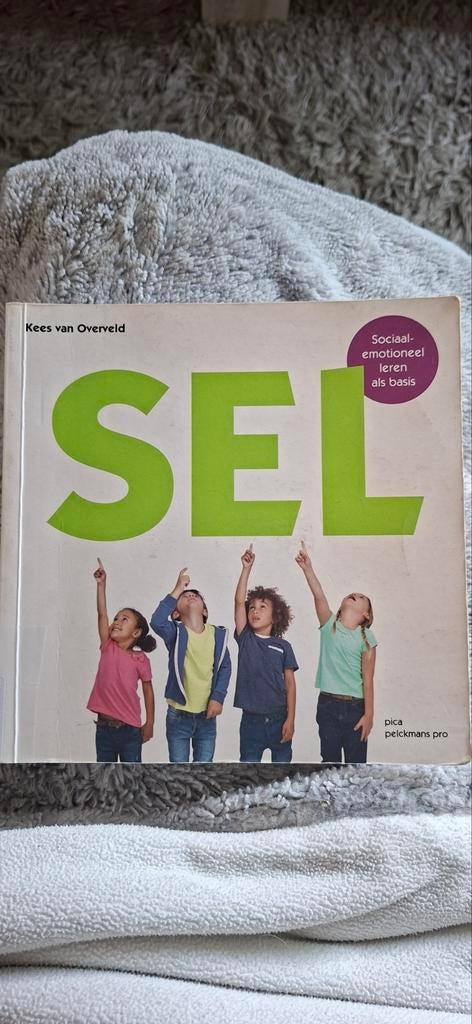 Kees van Overveld - Sel, Sociale wetenschap, Ophalen of Verzenden, Zo goed als nieuw, Kees van Overveld