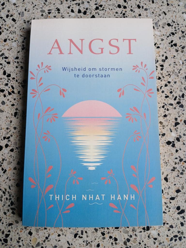 Angst - Thich Nhat Hanh NIEUW VASTE PRIJS, Boeken, Meditatie of Yoga, Thich Nhat Hanh, Nieuw, Ophalen of Verzenden