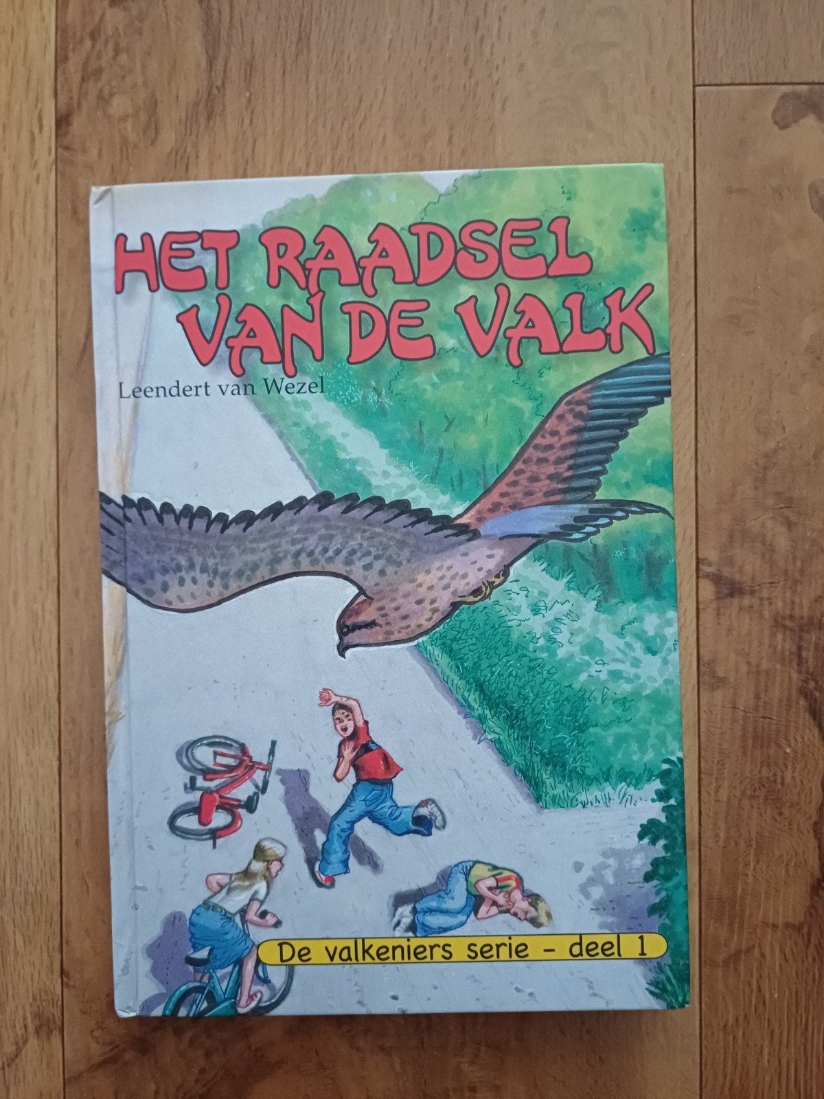Leendert van Wezel - Het raadsel van de valk, Ophalen of Verzenden, Zo goed als nieuw, Leendert van Wezel