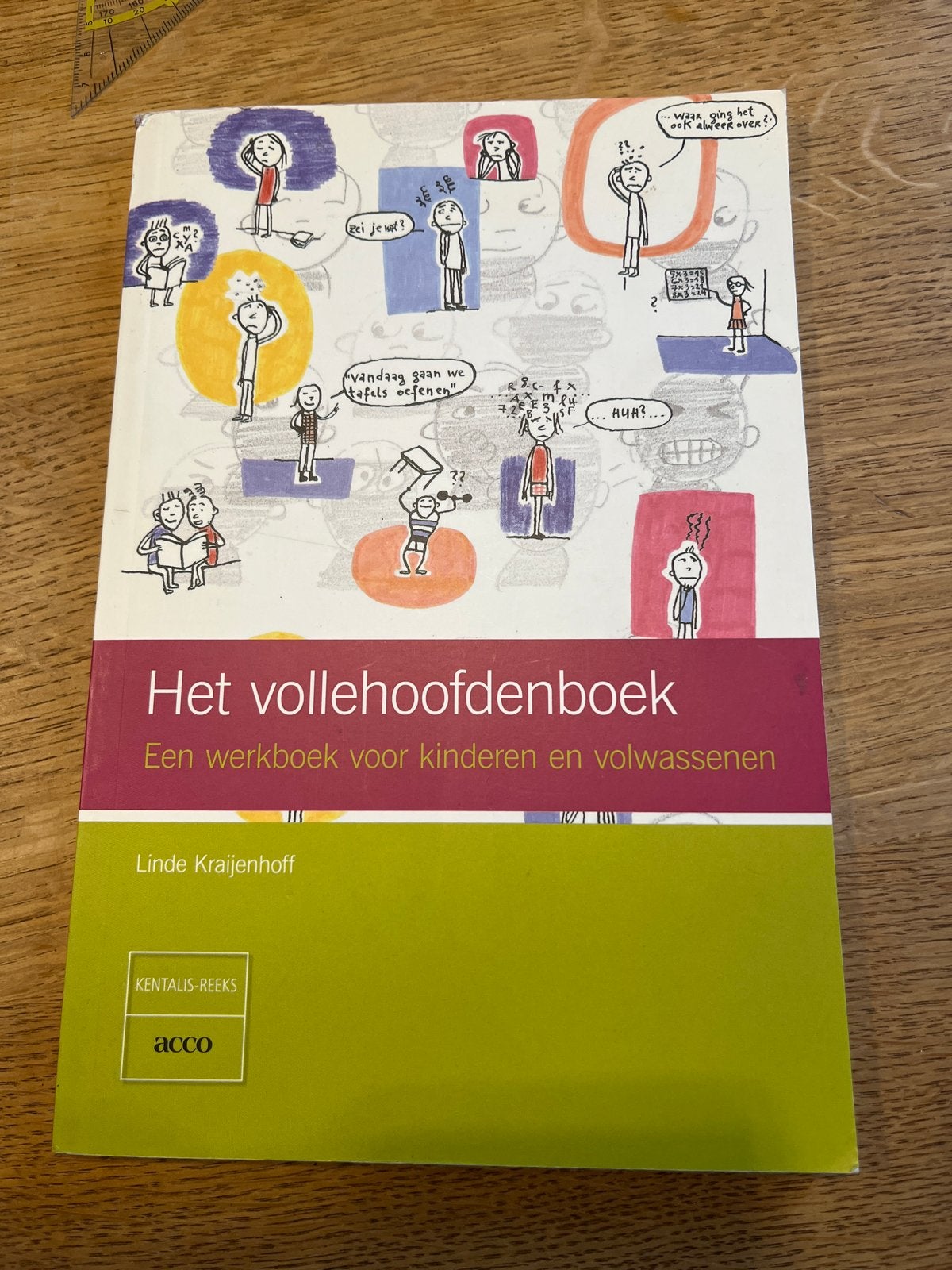 Het Vollehoofdenboek - Werkboek voor kinderen en volwassenen, Ophalen of Verzenden, Gamma, Zo goed als nieuw, Overige niveaus