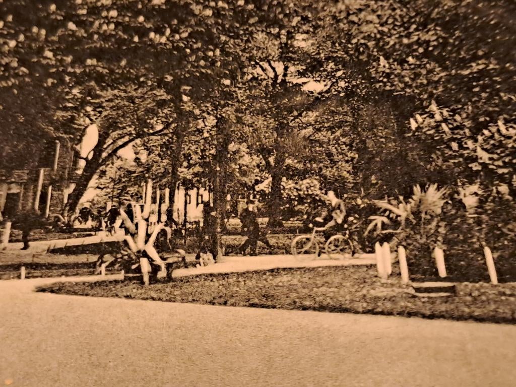 Assen, Brink, Ophalen of Verzenden, Drenthe