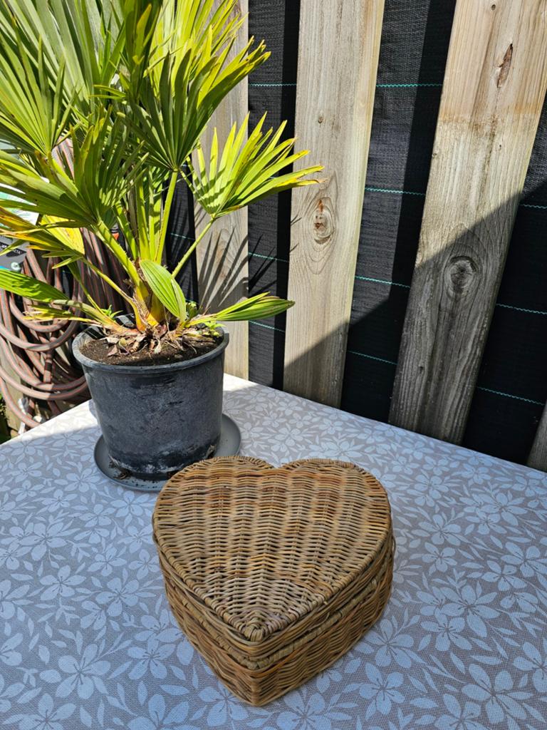 RIVIERA MAISON; MOOIE RATTAN HARTVORMIGE OPBERGDOOS NU € 20,, Ophalen, Zo goed als nieuw, Rond, Riet