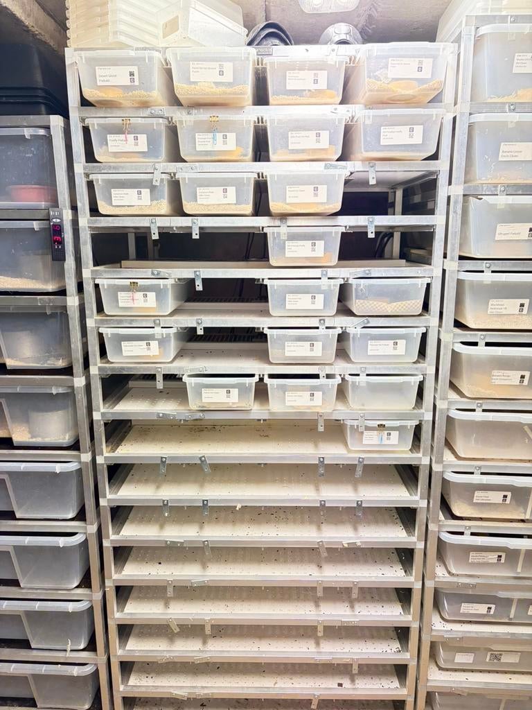 Compleet v18 rack, Ophalen, Zo goed als nieuw