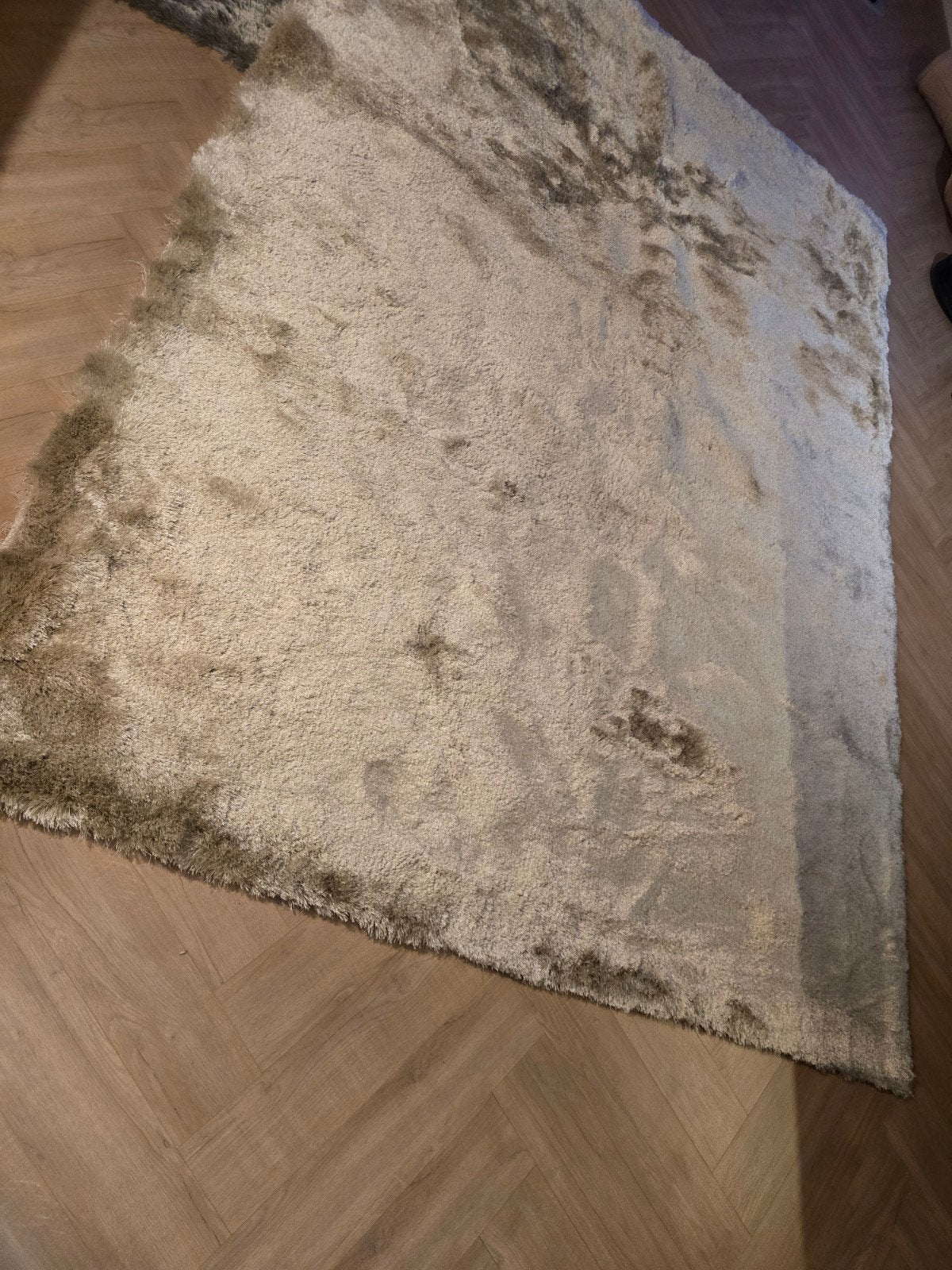 Hoogpolig vloerkleed - Glorious Champagne/Creme, Ophalen, Nieuw, Rechthoekig, 200 cm of meer