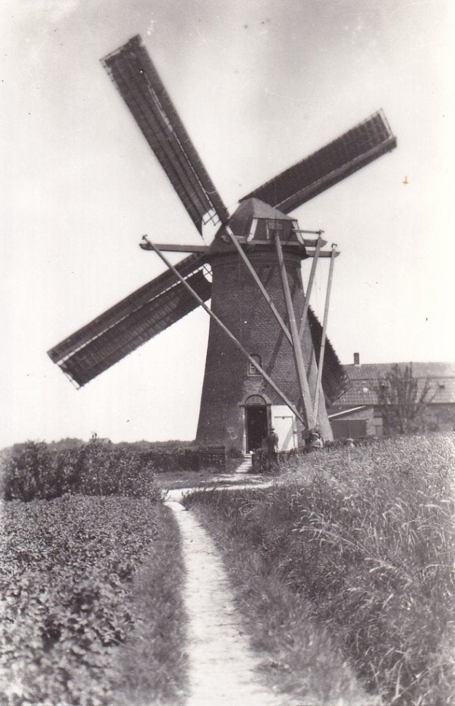 731F fotokaart Meliskerke molen, Ophalen of Verzenden, 1920 tot 1940, Ongelopen, Zeeland
