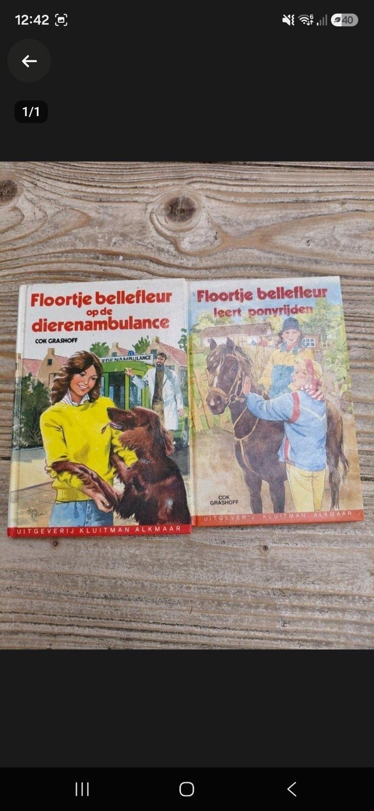 Floortje Bellefleur boeken - 2 delen, Boeken, Ophalen of Verzenden, Gelezen