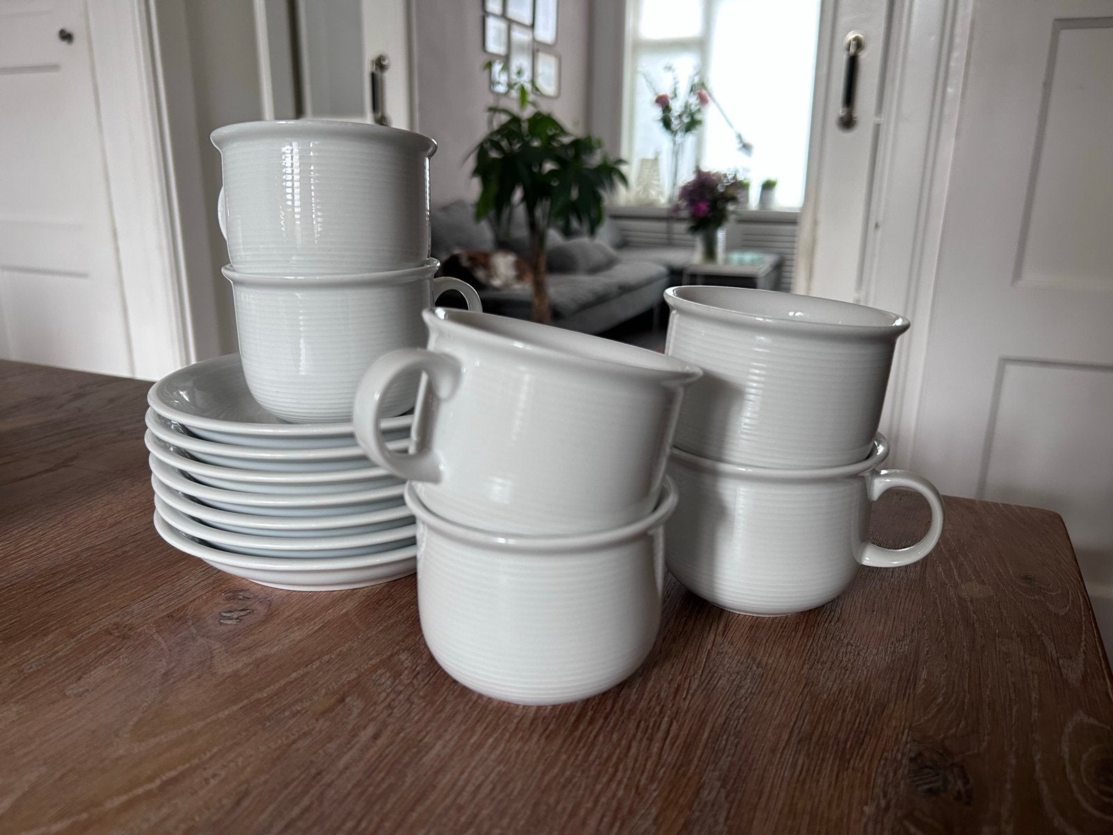 Servies Trend van Thomas: 6 kop en schotels + extra schotel, Huis en Inrichting, Gebruikt, Overige merken, Ophalen of Verzenden