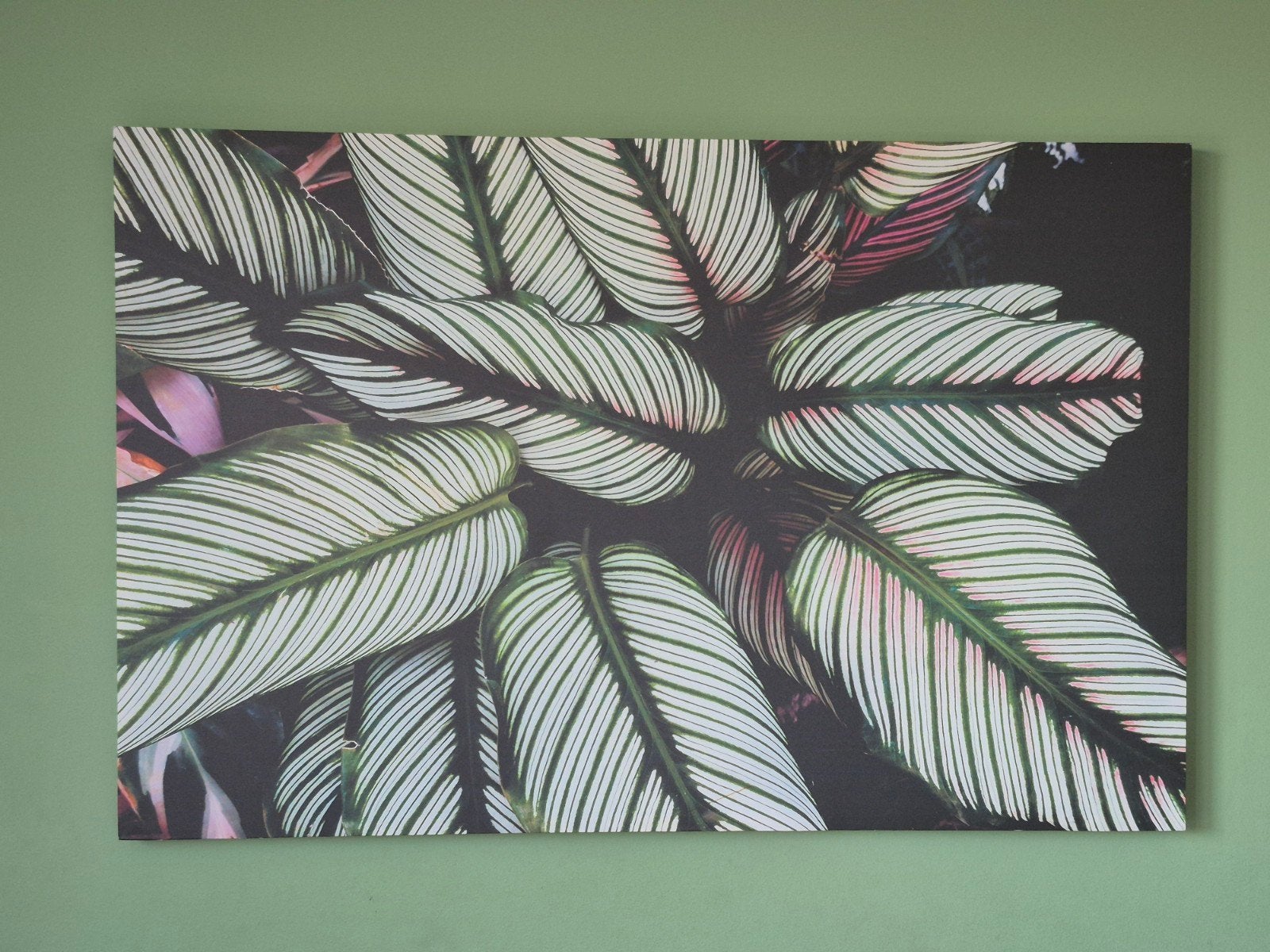 Schilderij met bladeren - 115x75 cm, Ophalen