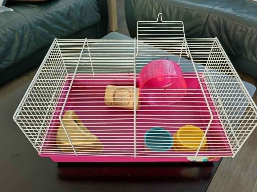 DWERG HAMSTER OF MUIZEN KOOI KOMPLEET, Dieren en Toebehoren, Knaagdieren en Konijnen | Hokken en Kooien, Minder dan 60 cm, Kooi