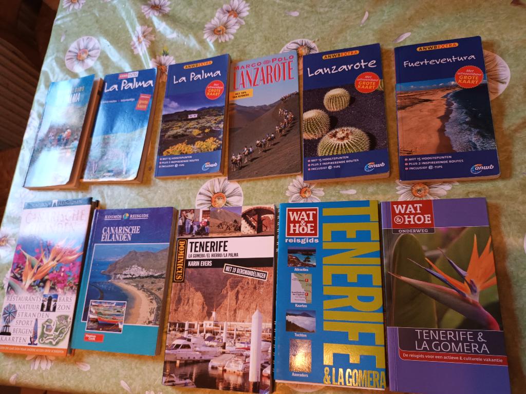 11 reisgidsen Canarische eilanden Capitool Palma Lanzarote, Europa, Ophalen of Verzenden, Reisgids of -boek, ANWB