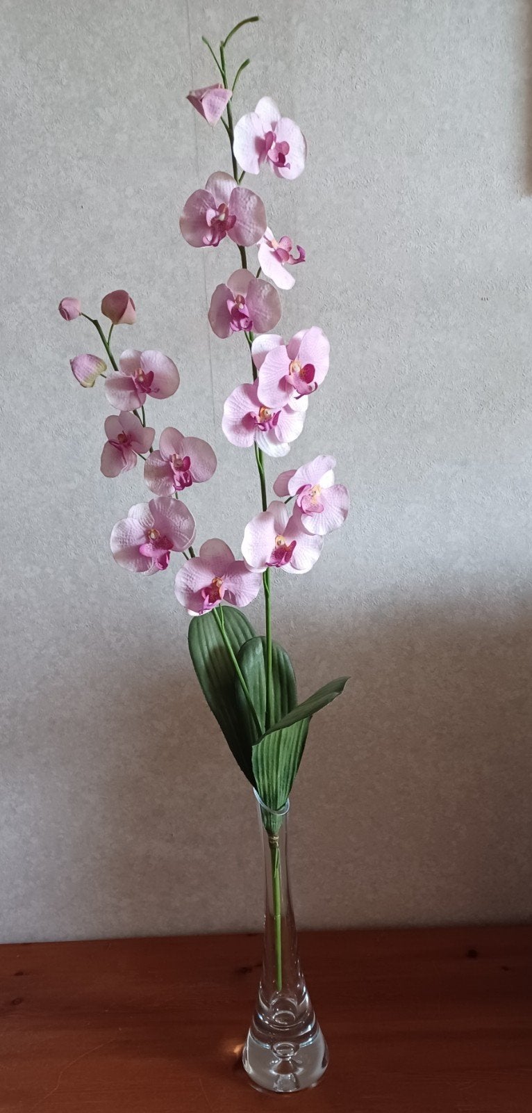 Zijden Orchidee Tak - Roze - 68 cm, Ophalen of Verzenden, Nieuw, Roze, Textiel