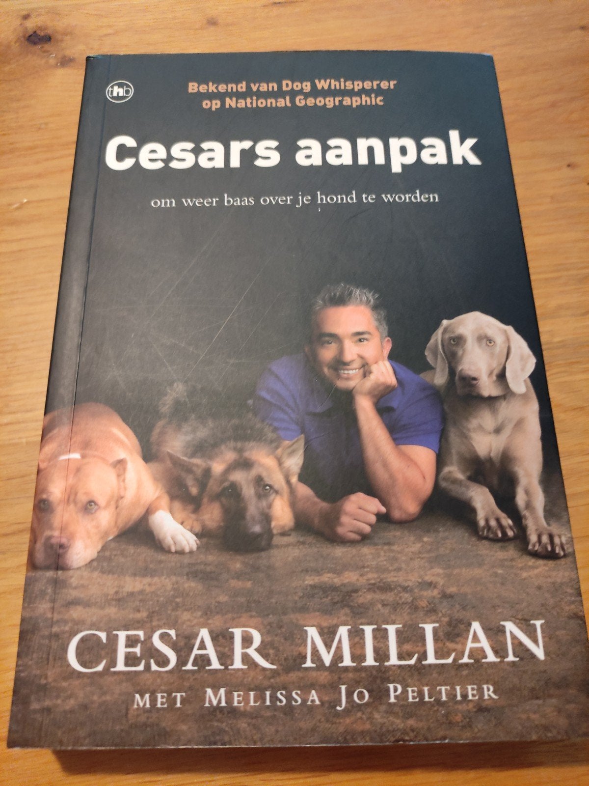 Cesar Millan - Cesars aanpak zo goed als nieuw, Boeken, Dieren en Huisdieren, Honden, Zo goed als nieuw, Cesar Millan, Ophalen of Verzenden