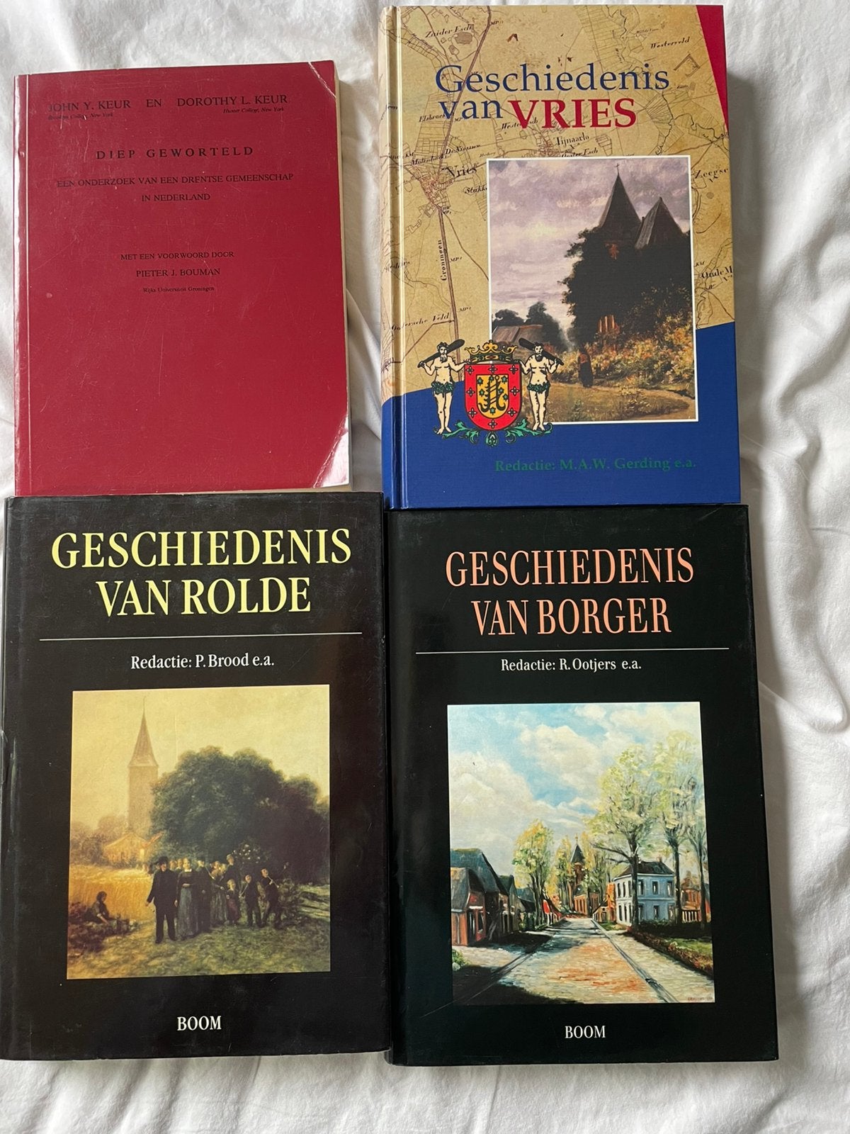 Geschiedenis van Rolde, Borger, Vries en Anderen, Boeken, Geschiedenis | Stad en Regio, Ophalen of Verzenden, Zo goed als nieuw