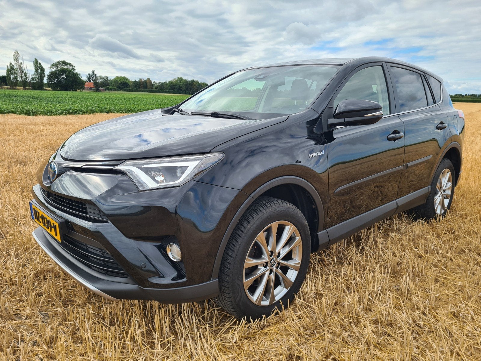 Toyota Rav4 2.5 VVT-i Hybrid AWD Executive elek. stoel leder, Automaat, 1650 kg, Zwart, 155 pk
