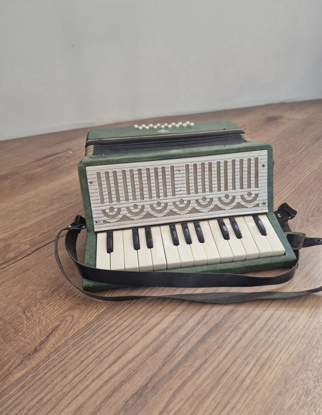 Vintage Accordeon - Groen/Rood - Gebruikt, Gebruikt, Met riemen, Overige formaten, Toetsaccordeon