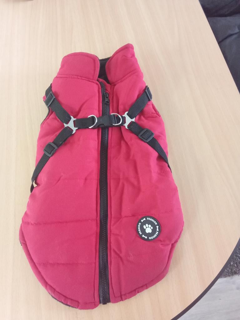 hondenjas, Dieren en Toebehoren, Hondenkleding, Ophalen of Verzenden, Nieuw, Hondenjas