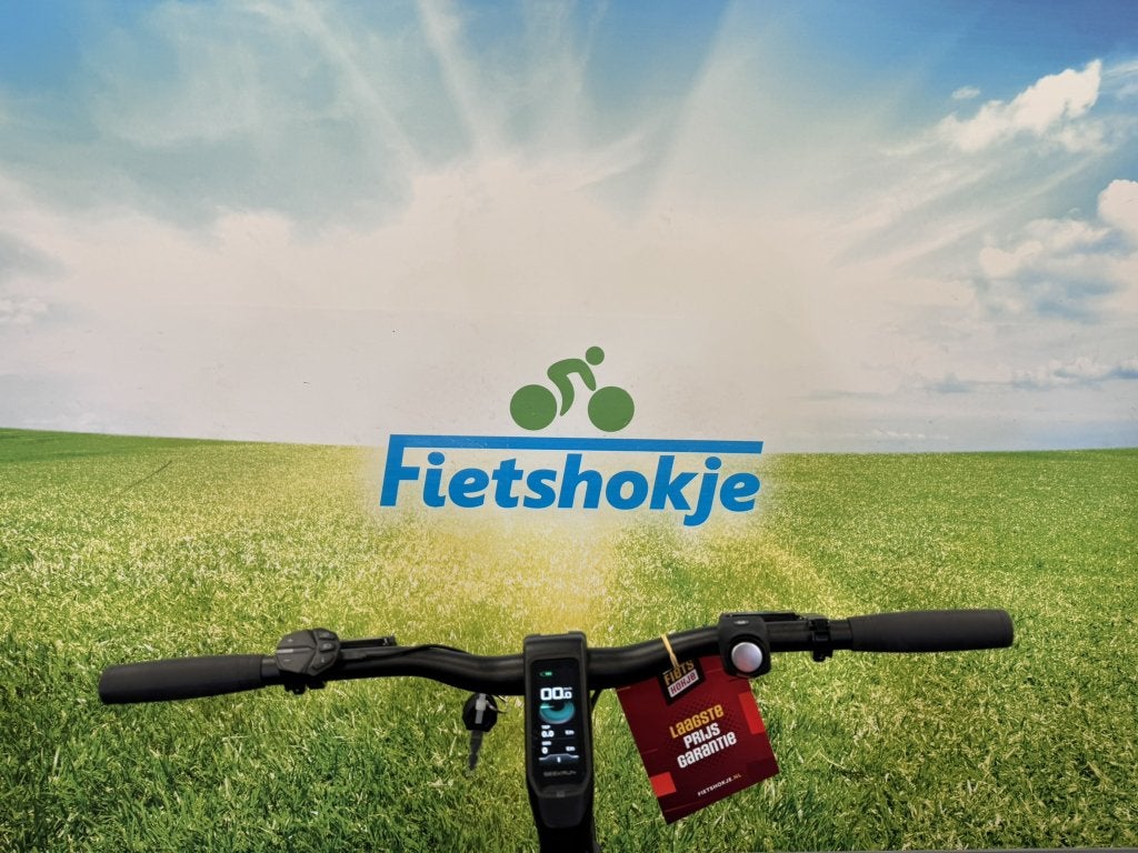 Fietshokje Amersfoort: Nieuwe Raaks Urban E-Bike, Fietsen en Brommers, Elektrische fietsen, Niet ingevuld, Nieuw, Ophalen of Verzenden
