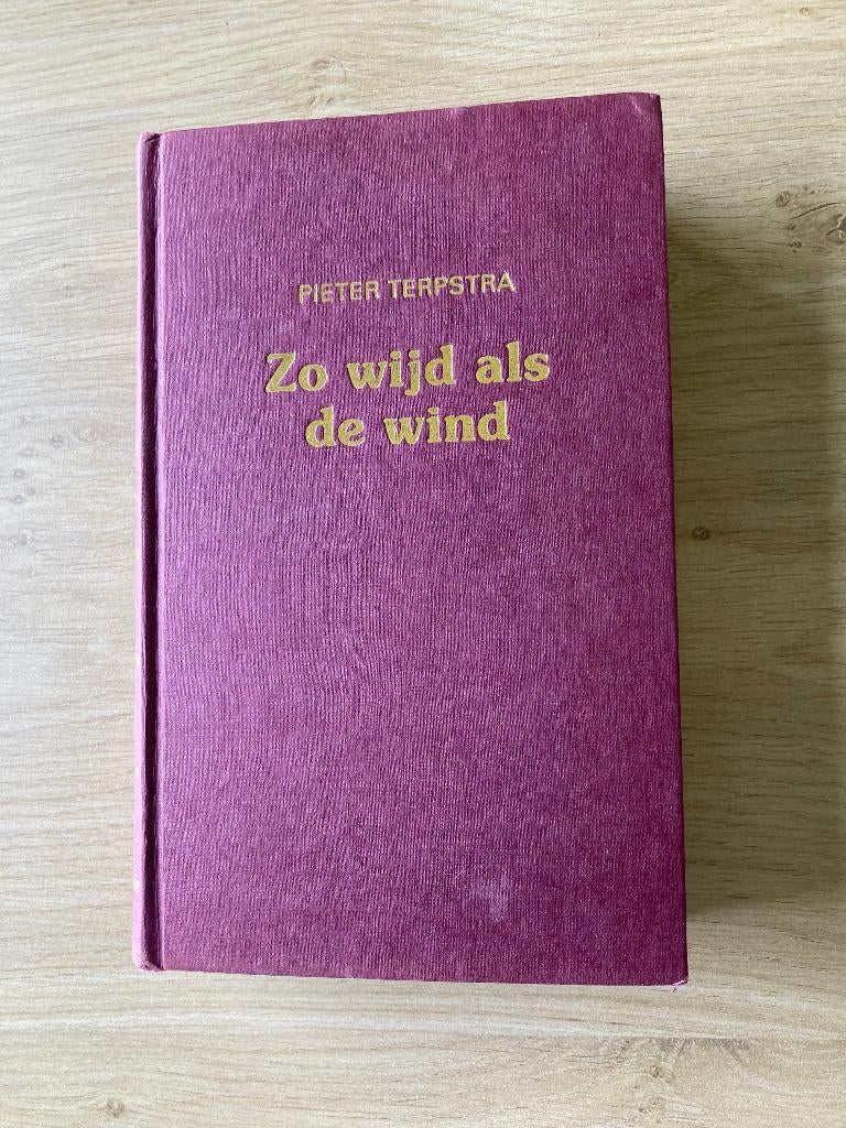 Boek Pieter Terpstra, Ophalen of Verzenden, Gelezen, Friesland