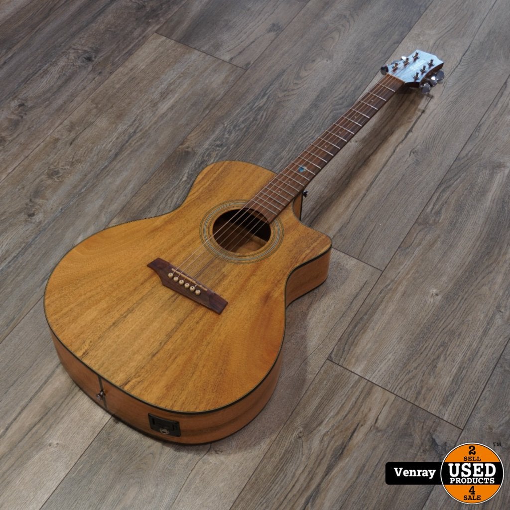 Randon RGI-M4CE Akoestisch/Electrische Gitaar | B-Grade, Muziek en Instrumenten, Flex Ltd., Gebruikt, https://flex.com/contact-us