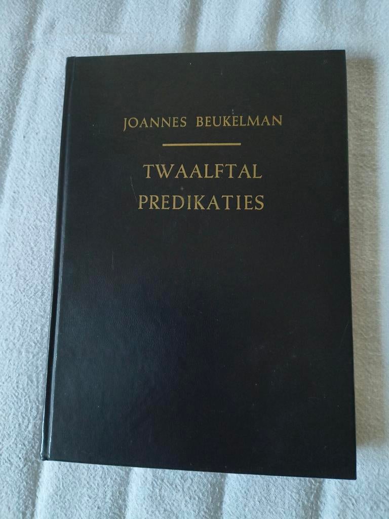 Twaalftal predikaties J Beukelman, Boeken, Godsdienst en Theologie, J Beukelman, Christendom | Protestants, Ophalen of Verzenden