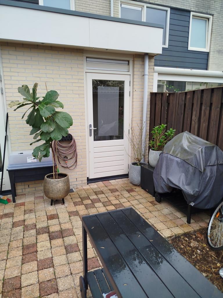 Gratis af te halen ruim 30m2 bestrating 15x15x6, Ophalen of Verzenden, Gebruikt, Beton, Klinkers