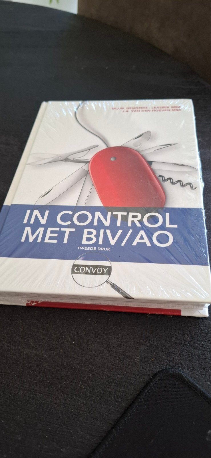 In control met BIV/AO, Ophalen of Verzenden, Beta, Nieuw, HBO