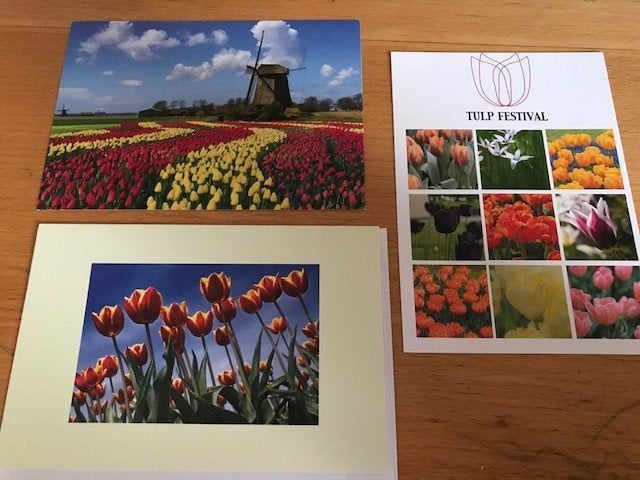 Tulpen, Ophalen of Verzenden, Voor 1920, Ongelopen, Sterren en Beroemdheden