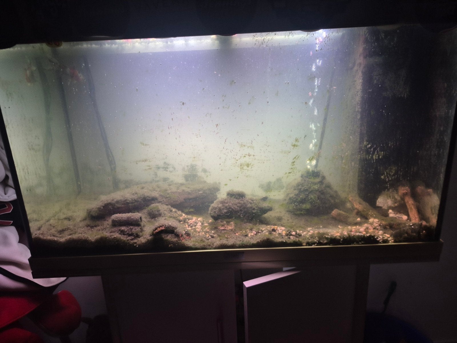 Aquarium + kast en toebehorde spullen., Dieren en Toebehoren, Vissen | Aquaria en Toebehoren, Gebruikt, Leeg aquarium, Inclusief deksel