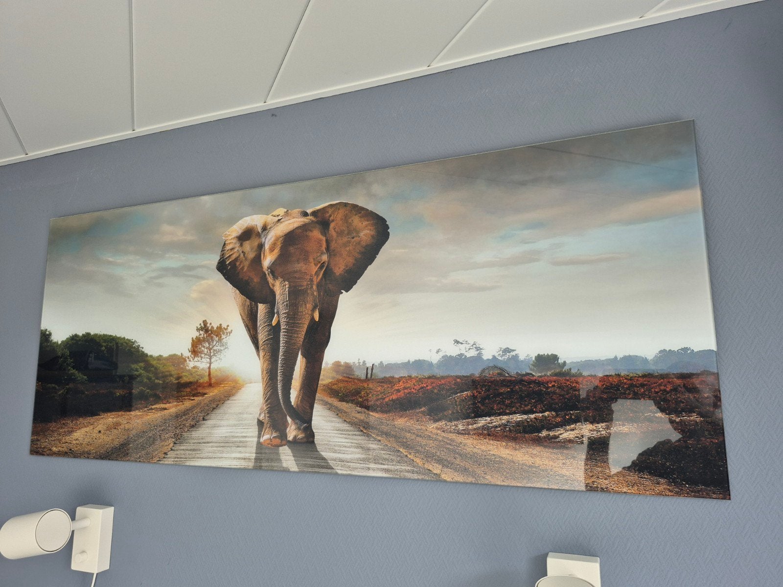 PURE LIVING Schilderij glas Elephant 50x125 cm, Huis en Inrichting, Ophalen, 50 – 75, 125 cm of meer, Zo goed als nieuw