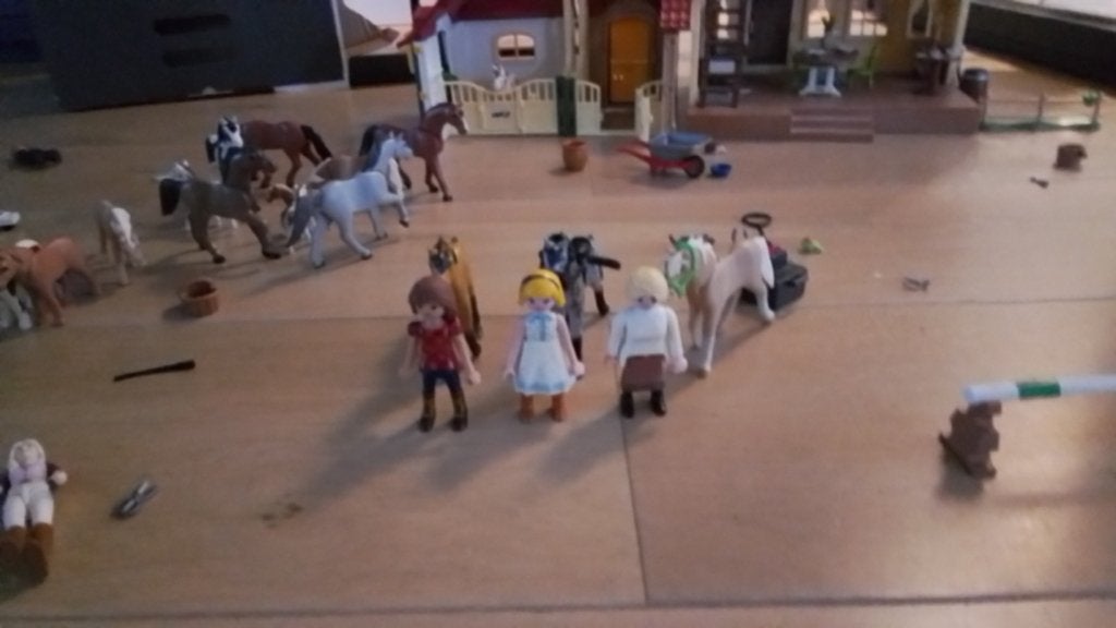 Paarden playmobil (gratis paarden kudde), Ophalen, Gebruikt, Losse onderdelen, Kasteel/Fort