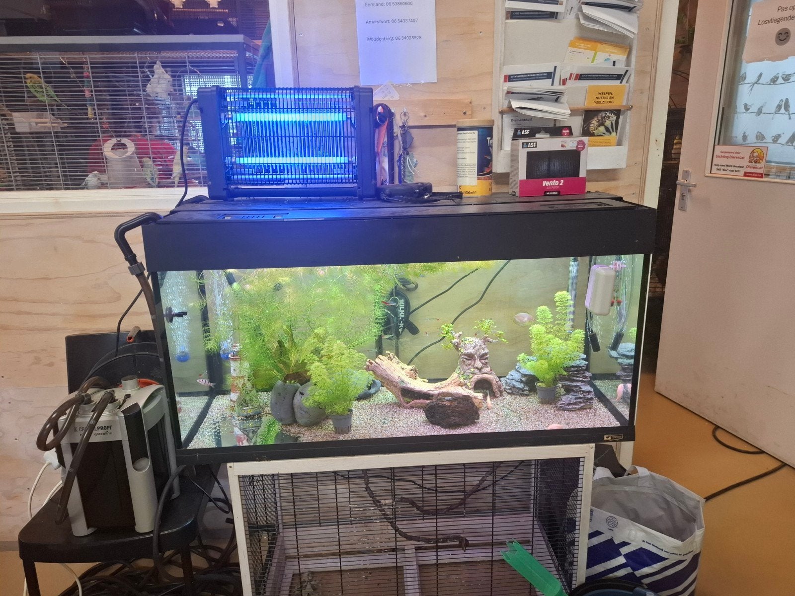 Compleet aquarium pakket inclusief vissen, Ophalen, Inclusief vissen, Zo goed als nieuw, Gevuld zoetwateraquarium
