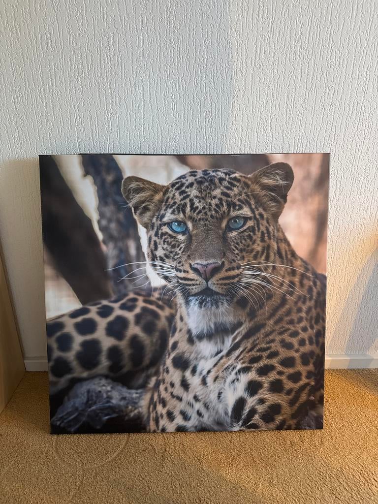 Geprint schilderij van een luipaard, Huis en Inrichting, Ophalen of Verzenden, Zo goed als nieuw, Print, Minder dan 50 cm