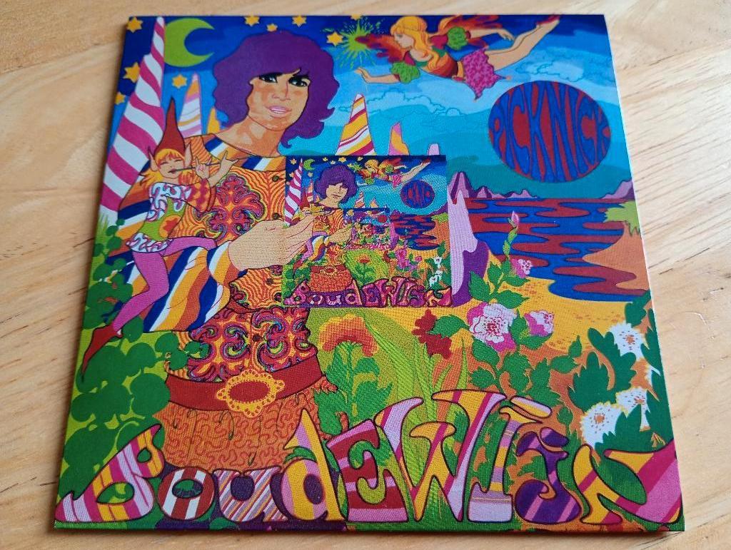 CD Boudewijn De Groot - Picknick (2024), Verzenden, Zo goed als nieuw, Levenslied of Smartlap