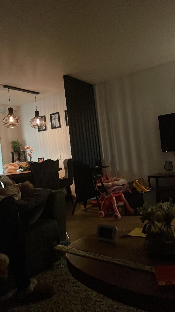 Room divider stevig van dik hout, Ophalen of Verzenden, Zo goed als nieuw