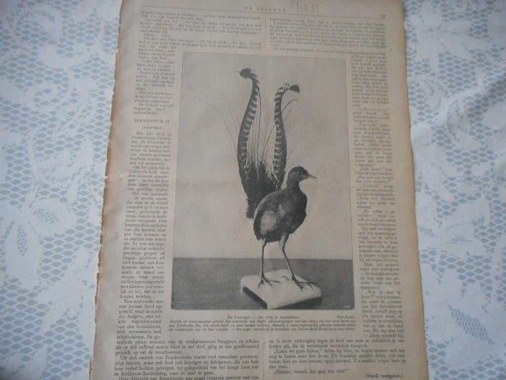 Artis. De Lier. 1927., Ophalen of Verzenden, 1920 tot 1940, Nederland, Knipsel(s)