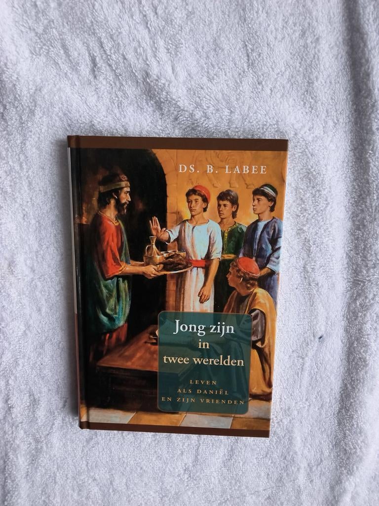 Ds. B. Labee - Jong zijn in twee werelden, Boeken, Ophalen of Verzenden, Zo goed als nieuw