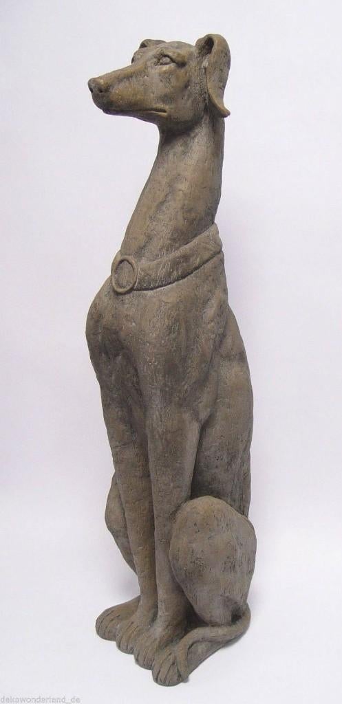 zittende hond windhond greyhound hazewindhond, Ophalen of Verzenden
