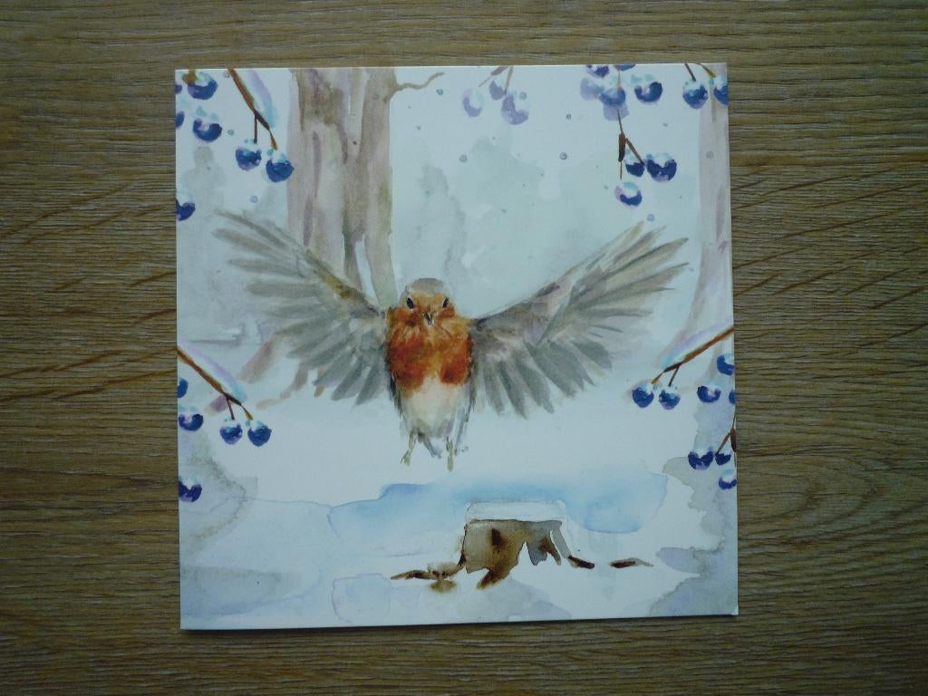 Kunstkaart roodborstje vogel Michelle Dujardin Amnesty Inter, Ophalen of Verzenden, Voor 1920, Vogel