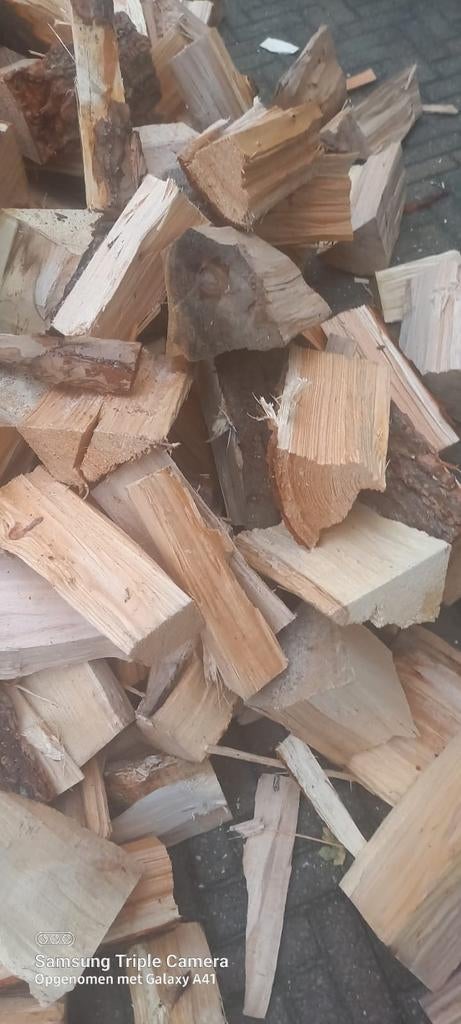 Populier openhaardhout - bijna droog, Tuin en Terras, Haardhout, 6 m³ of meer, Ophalen of Verzenden, Overige houtsoorten, Blokken