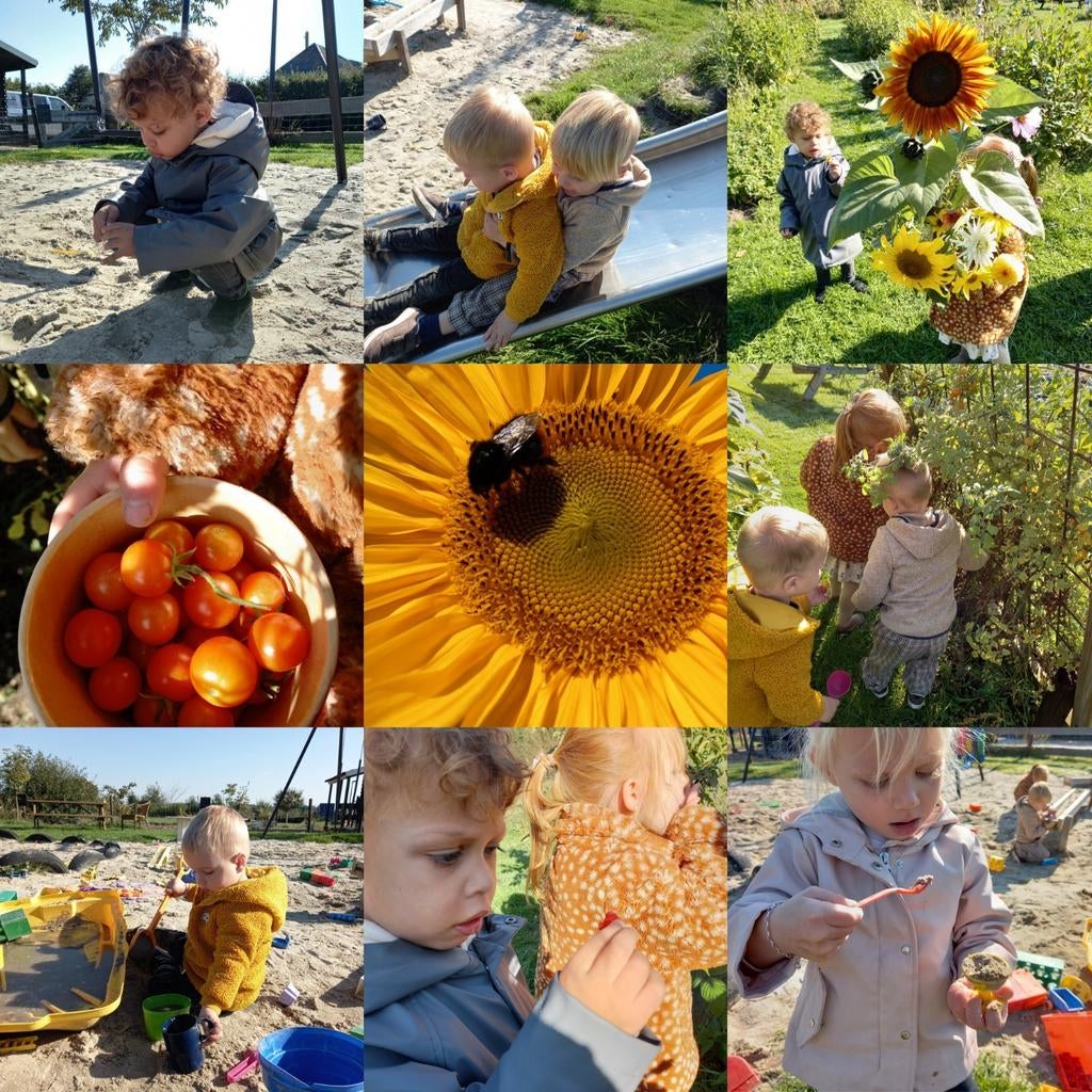 Opzoek naar gastouder, opvang of kleinschalige kinderopvang?