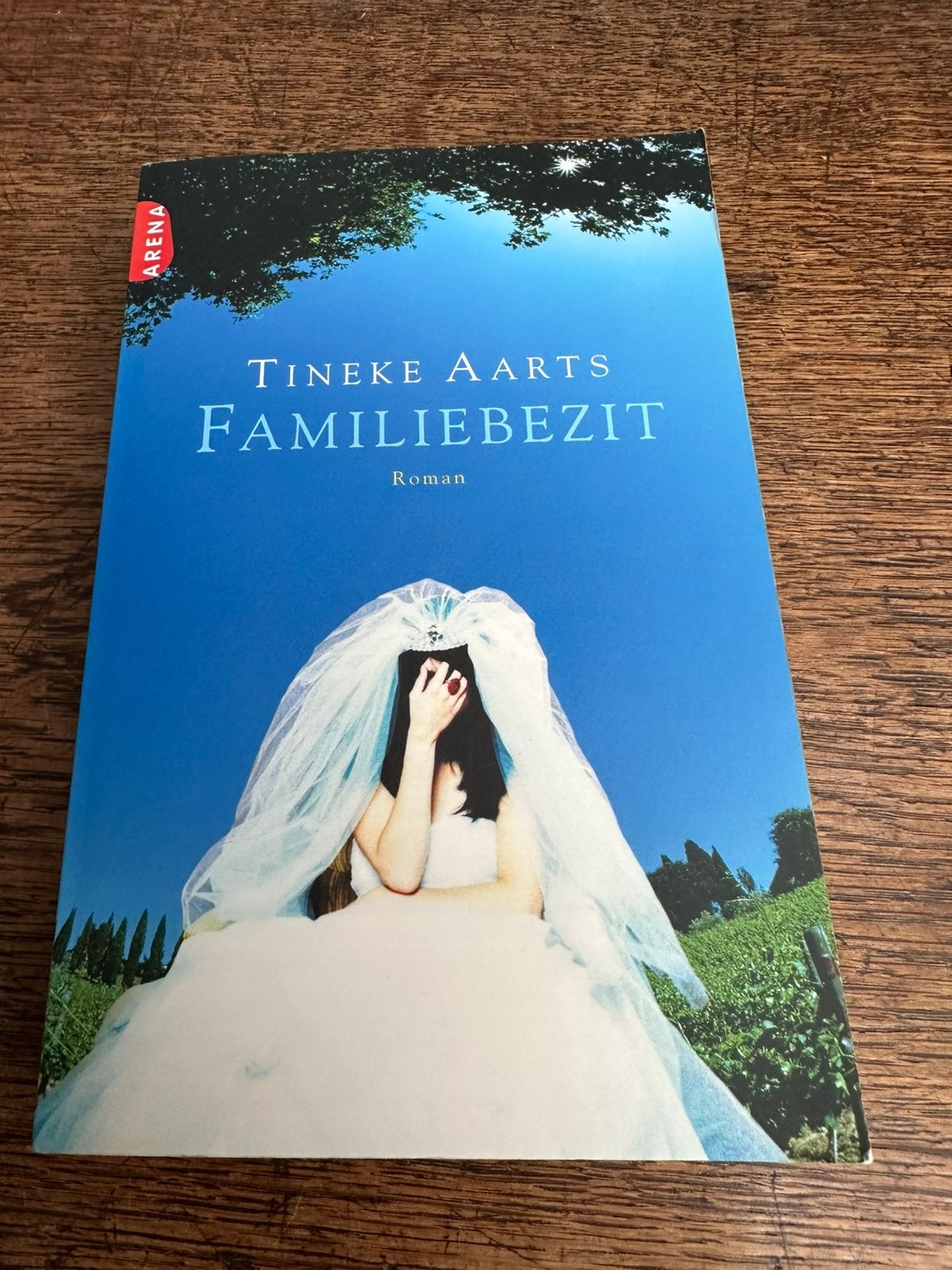 Tineke Aarts: Familiebezit, Ophalen of Verzenden, Zo goed als nieuw