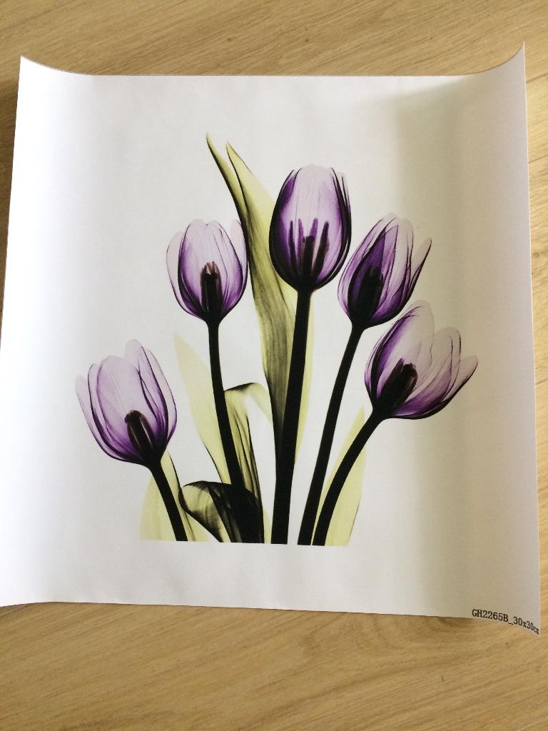 Bloemen op canvas, paars., Huis en Inrichting, Woonaccessoires | Schilderijen, Tekeningen en Foto's, Minder dan 50 cm, Nieuw, Ophalen of Verzenden