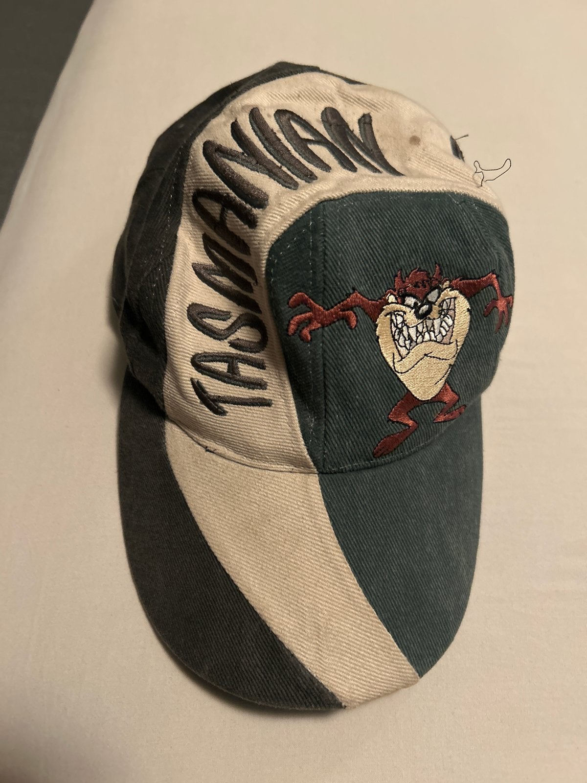 Warner Bros. Tasmanian Devil Pet, Ophalen of Verzenden, Gedragen, One size fits all, Pet