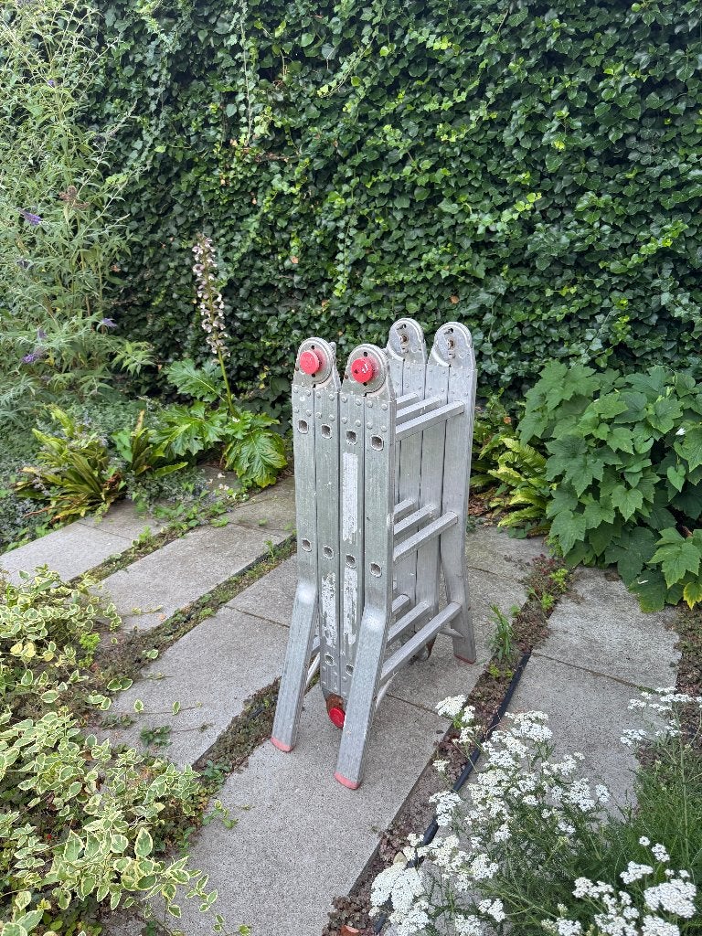 Ladder, Ophalen, Gebruikt, Ladder, 2 tot 4 meter
