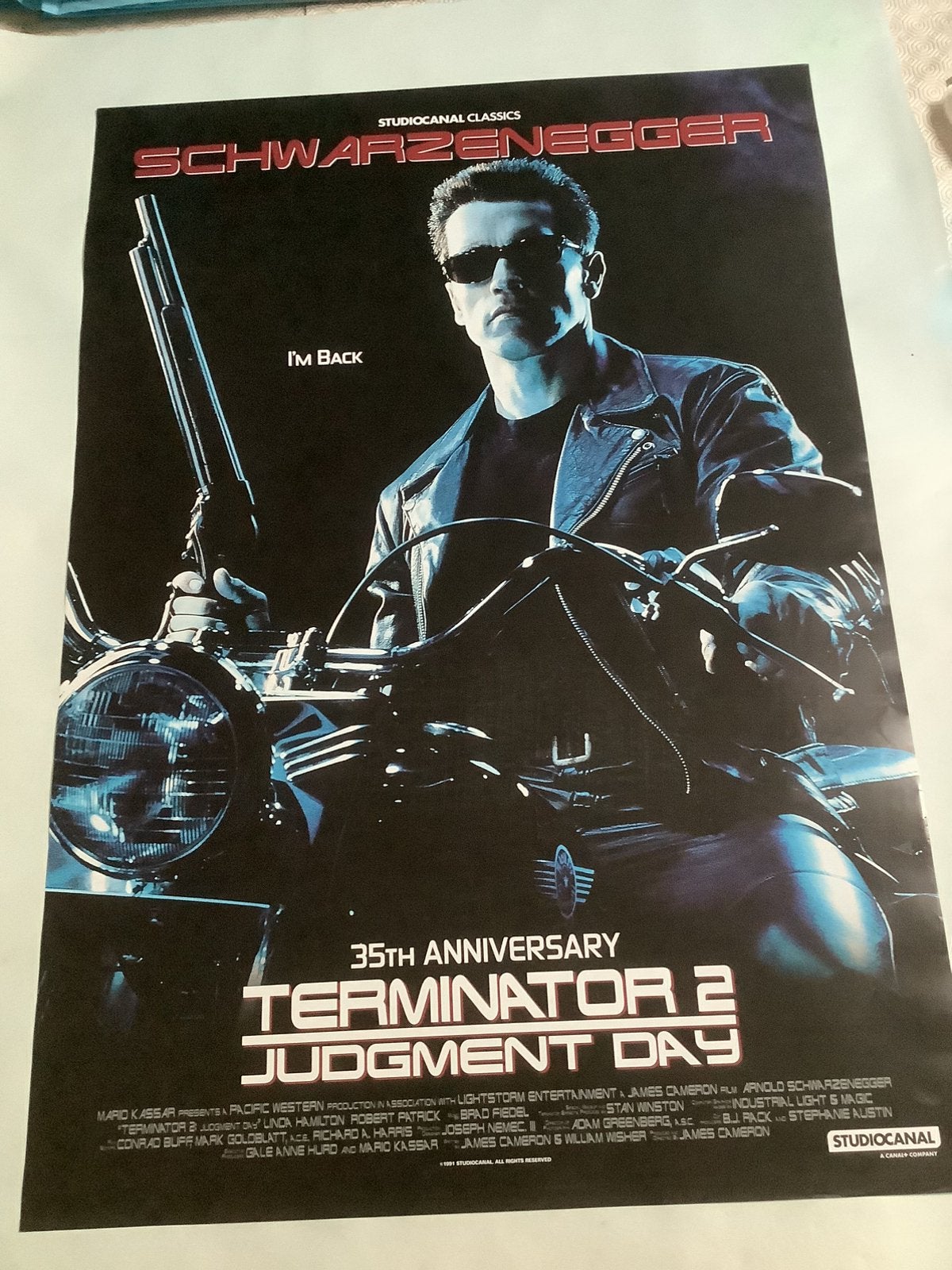 TERMINATOR 2 : FILMPOSTER BELGIE 35 jaar   70-100 cm, Verzamelen, Verzenden, Zo goed als nieuw, Deurposter of groter, Film en Tv