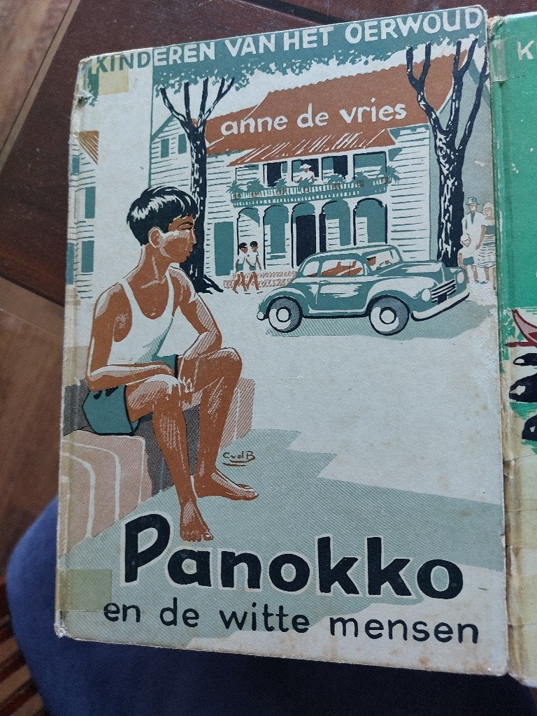 Boeken Panokko, Ophalen, Gelezen, Fictie algemeen