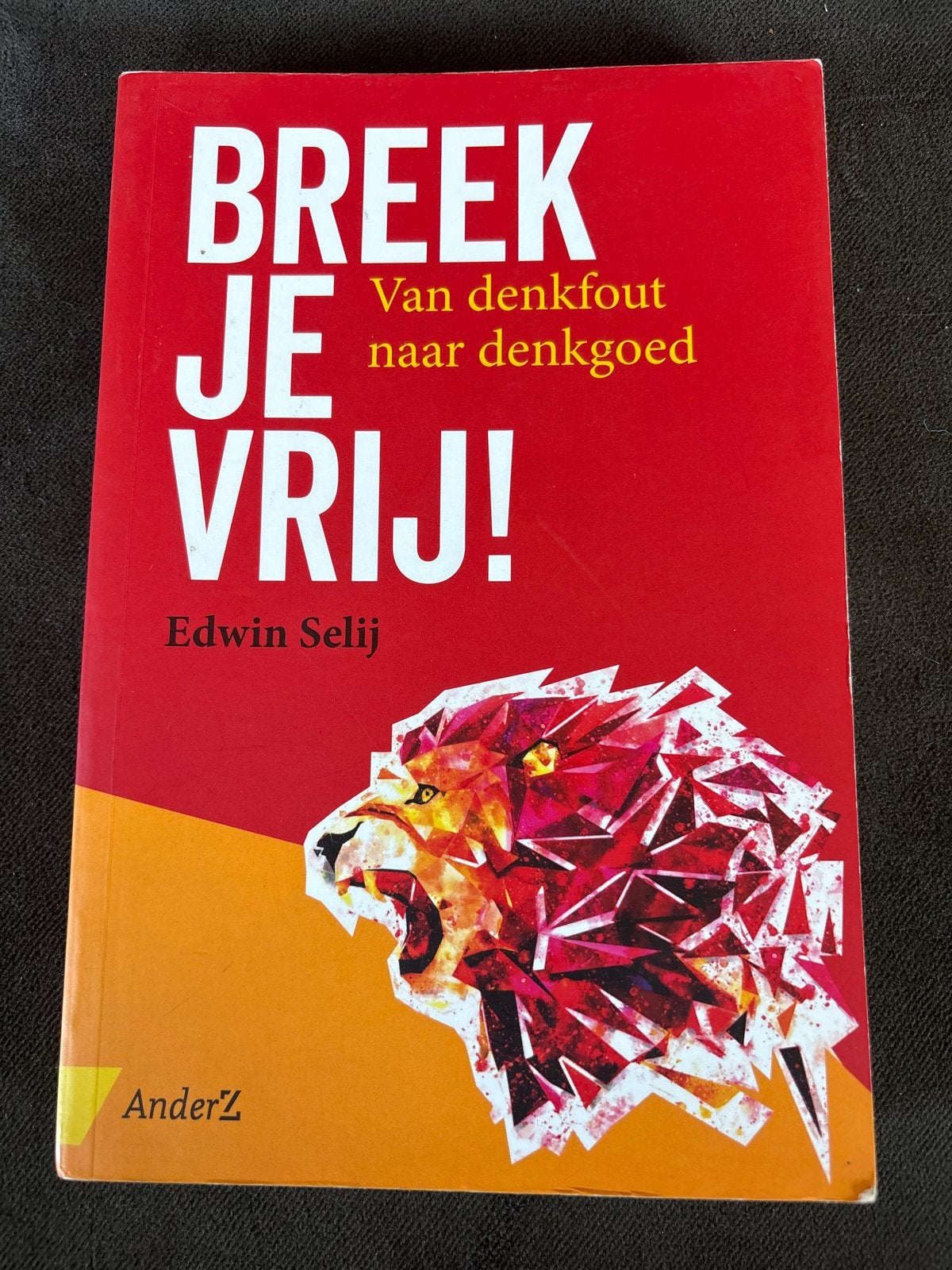 Breek je vrij! Van denkfout naar denkgoed - Edwin Selij, Ophalen, Zo goed als nieuw, Nederland