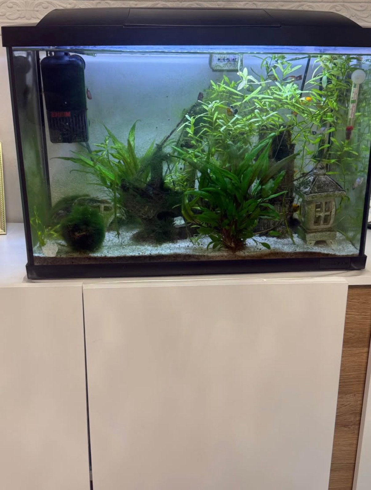 60 liter bak aquarium met vissen en alle toebehoren, Ophalen, Zo goed als nieuw, Leeg aquarium