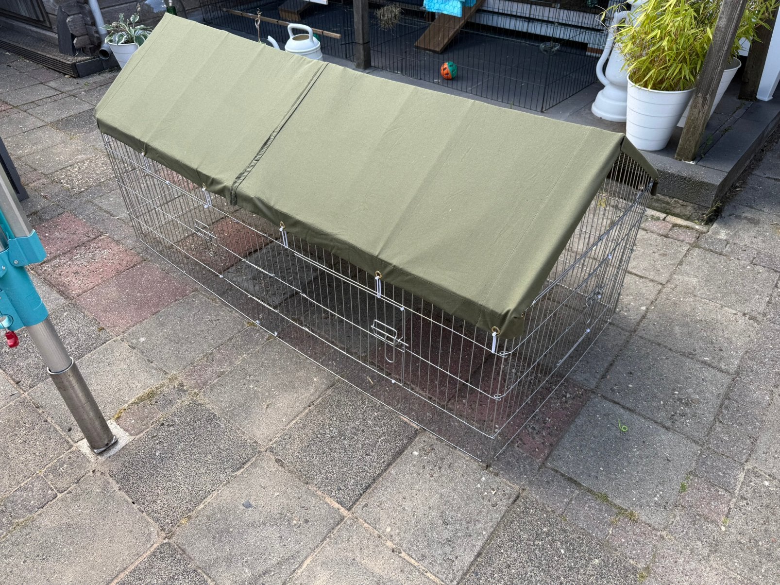 Konijnen ren, Dieren en Toebehoren, Konijnen, Meerdere dieren, Middelgroot